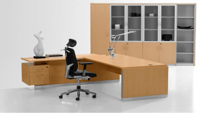 ESCRITORIOS Y OFICINAS PRIVADAS